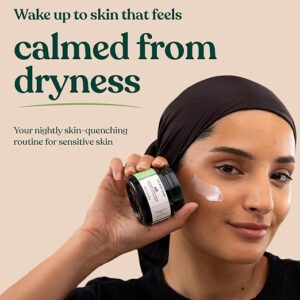 Aloe Soothing Night Cream