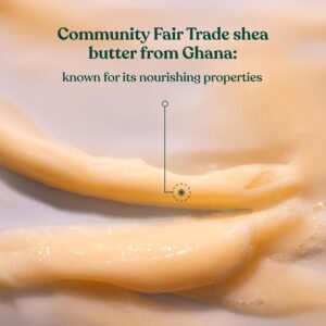 Shea Intense Repair Shampoo