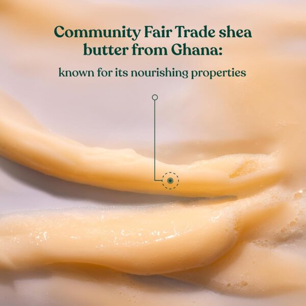 Shea Intense Repair Shampoo