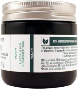 Tea Tree Skin Clearing Night Mask