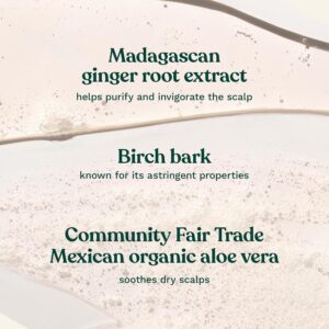 Ginger Anti-dandruff Shampoo